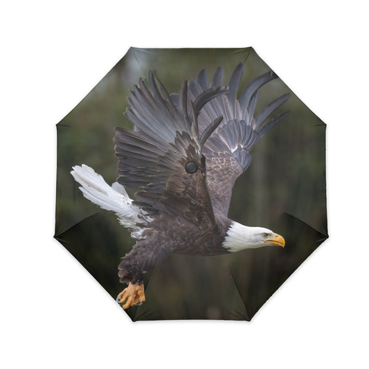 On Eagle’s Wings – Inverted Umbrella