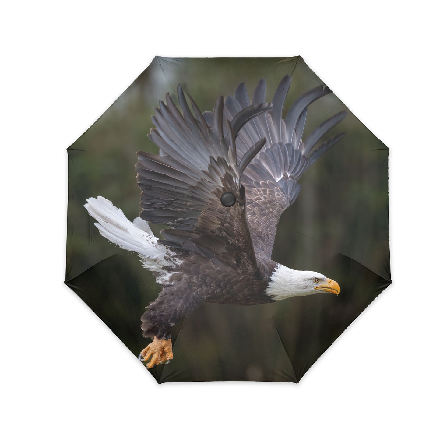 On Eagle’s Wings – Inverted Umbrella