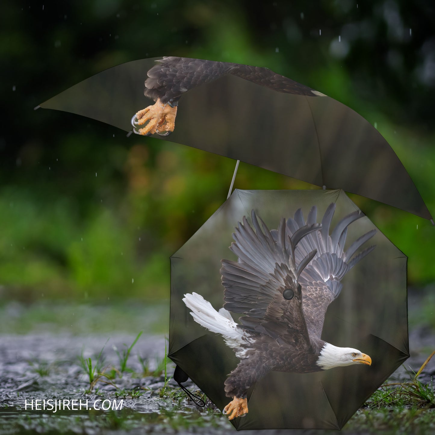 On Eagle’s Wings – Inverted Umbrella