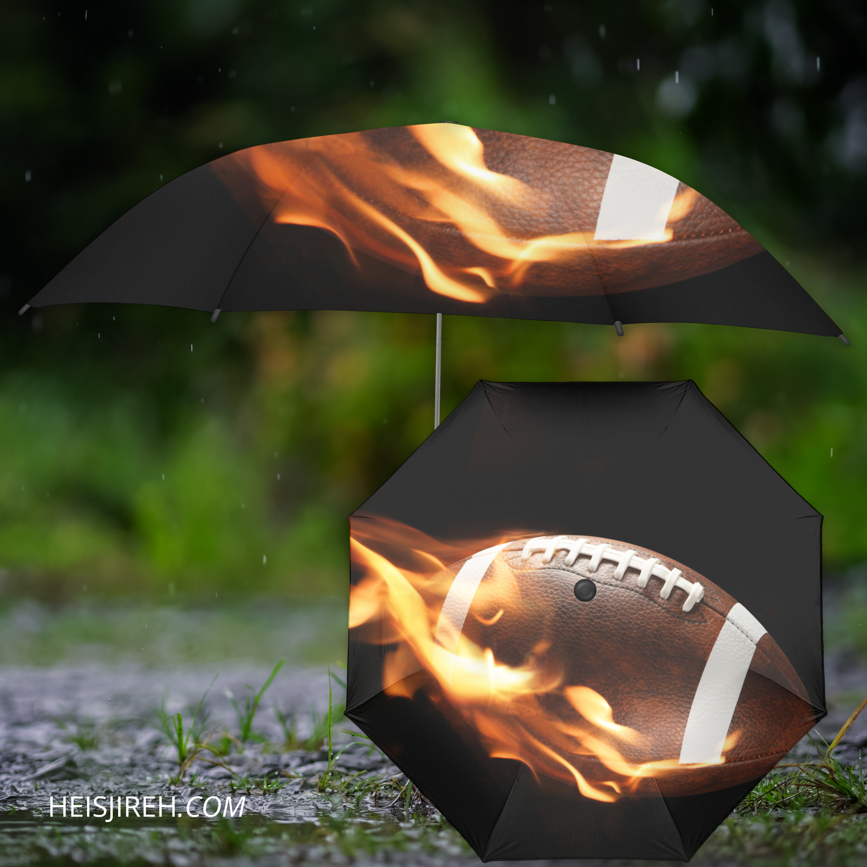 The Blazing Fire