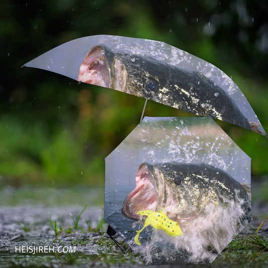 The Big Bass – Inverted Umbrella